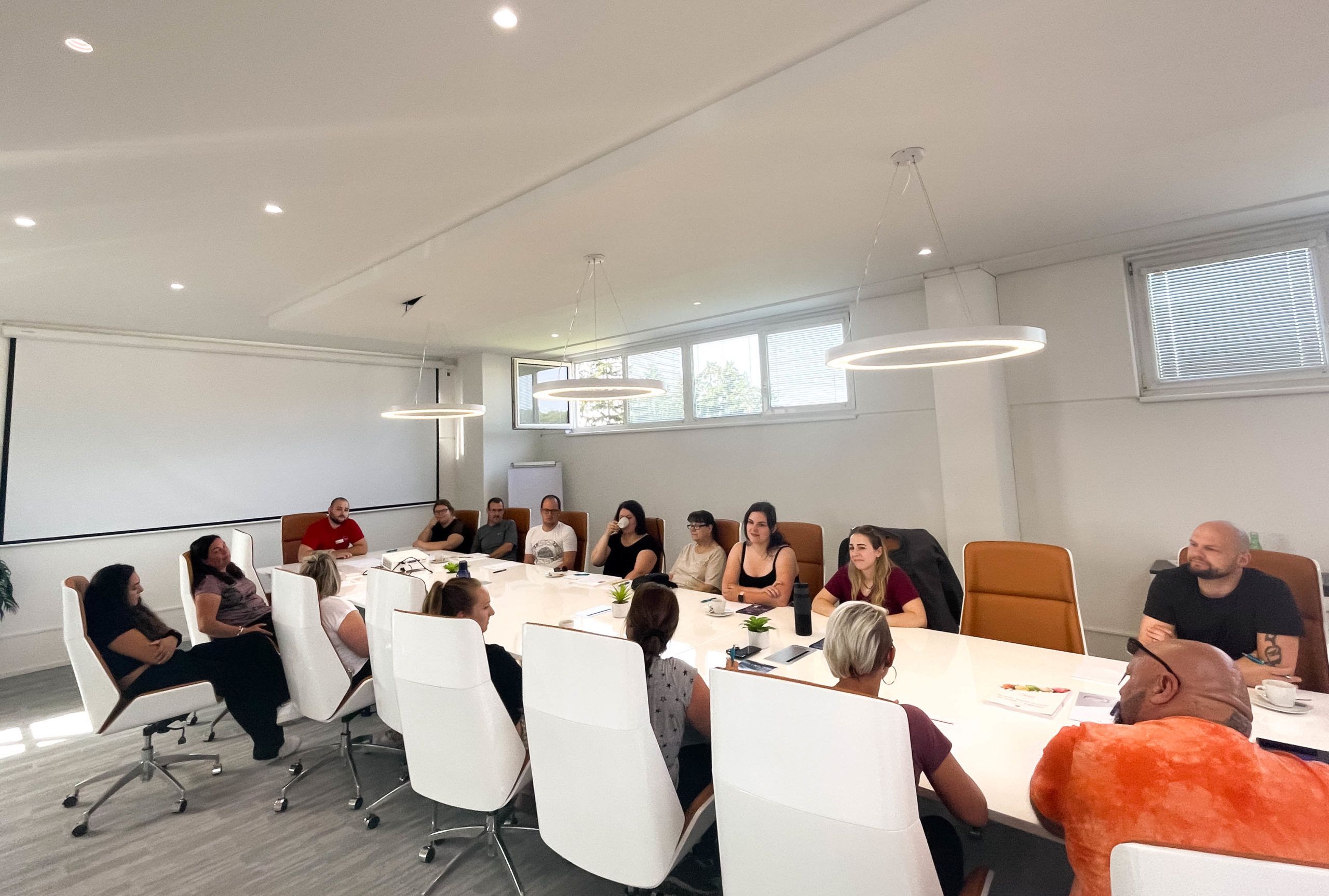 Softeis Kurs Theorie